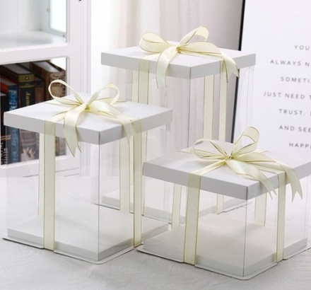 plastic cake box